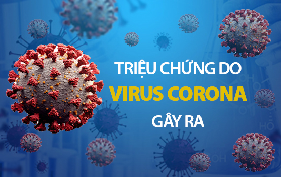 Nguyên nhân và các triệu chứng do virus corona gây ra