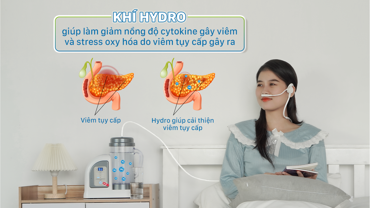 Khí Hydro giúp làm giảm nồng độ cytokine gây viêm và stress oxy hóa do viêm tụy cấp gây ra