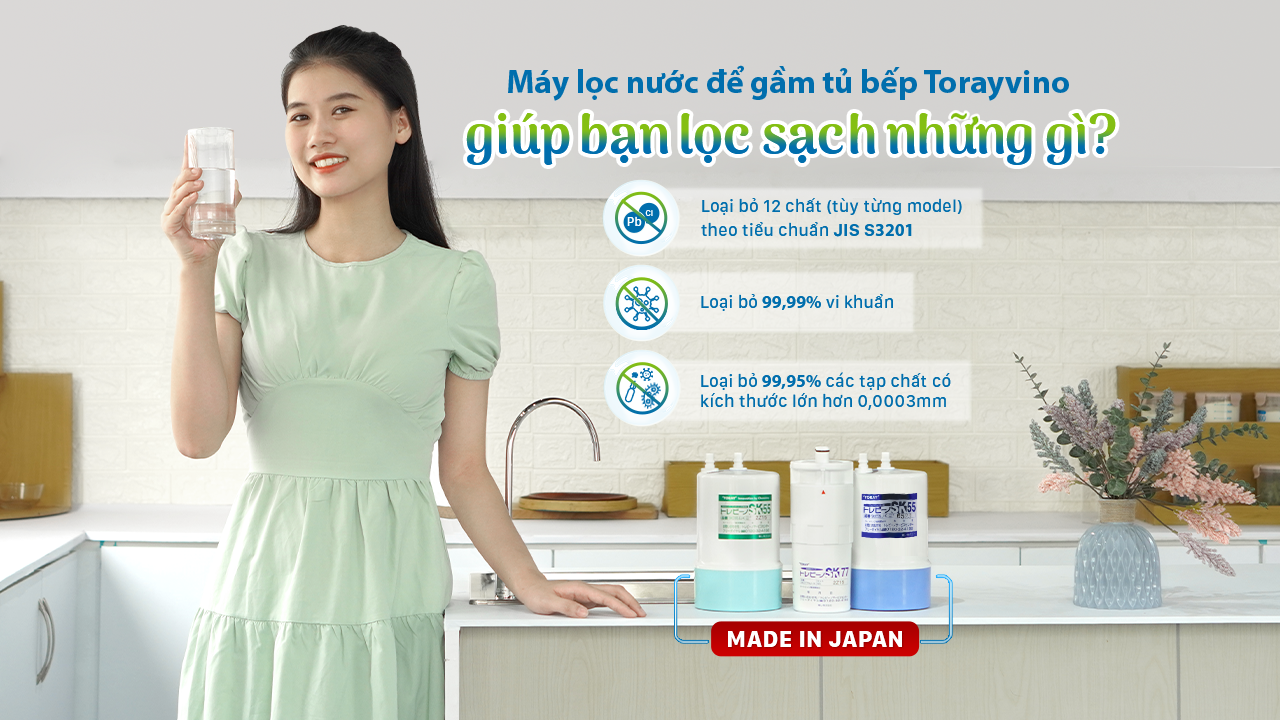 Máy lọc nước để gầm tủ bếp Torayvino giúp bạn lọc sạch những gì?