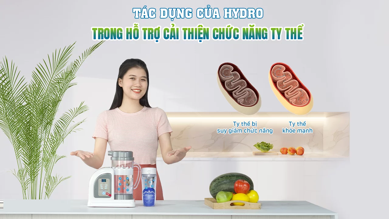 Tác dụng của Hydro trong hỗ trợ cải thiện chức năng ty thể: chặn việc mở các lỗ chuyển tiếp tính thấm, điều chỉnh quá trình nguyên phân, cải thiện quá trình chuyển hóa năng lượng